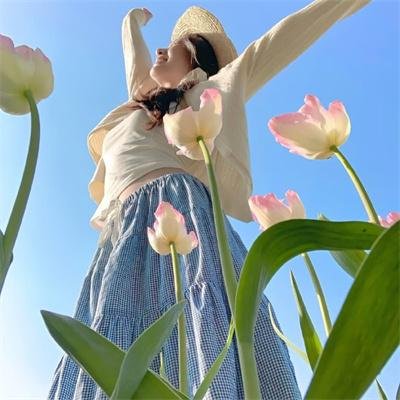 新蝶恋花